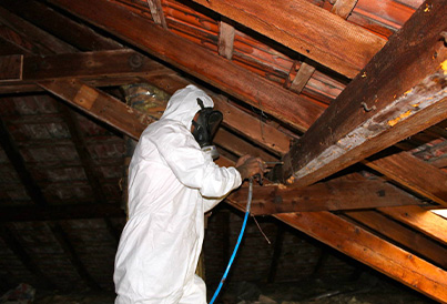 Traitement de charpente à Noisy-le-Grand (93160) en Seine-Saint-Denis (93)